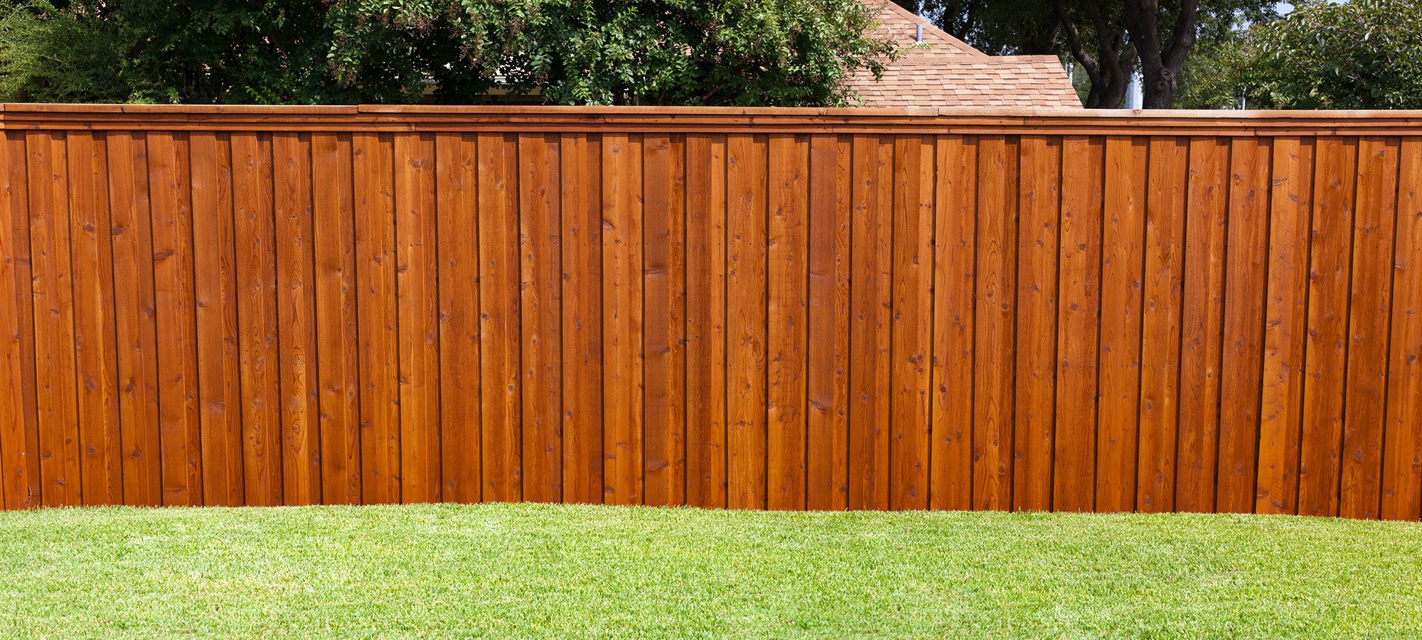 Wood Fence